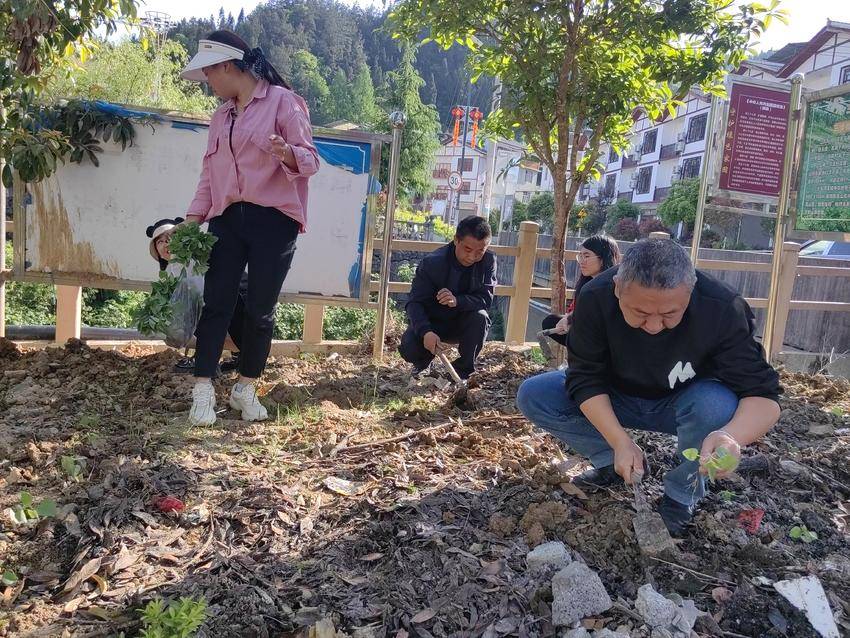 湖北民族大学驻村工作队挥锹夯土培植花苗