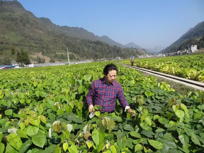 陈耀兵